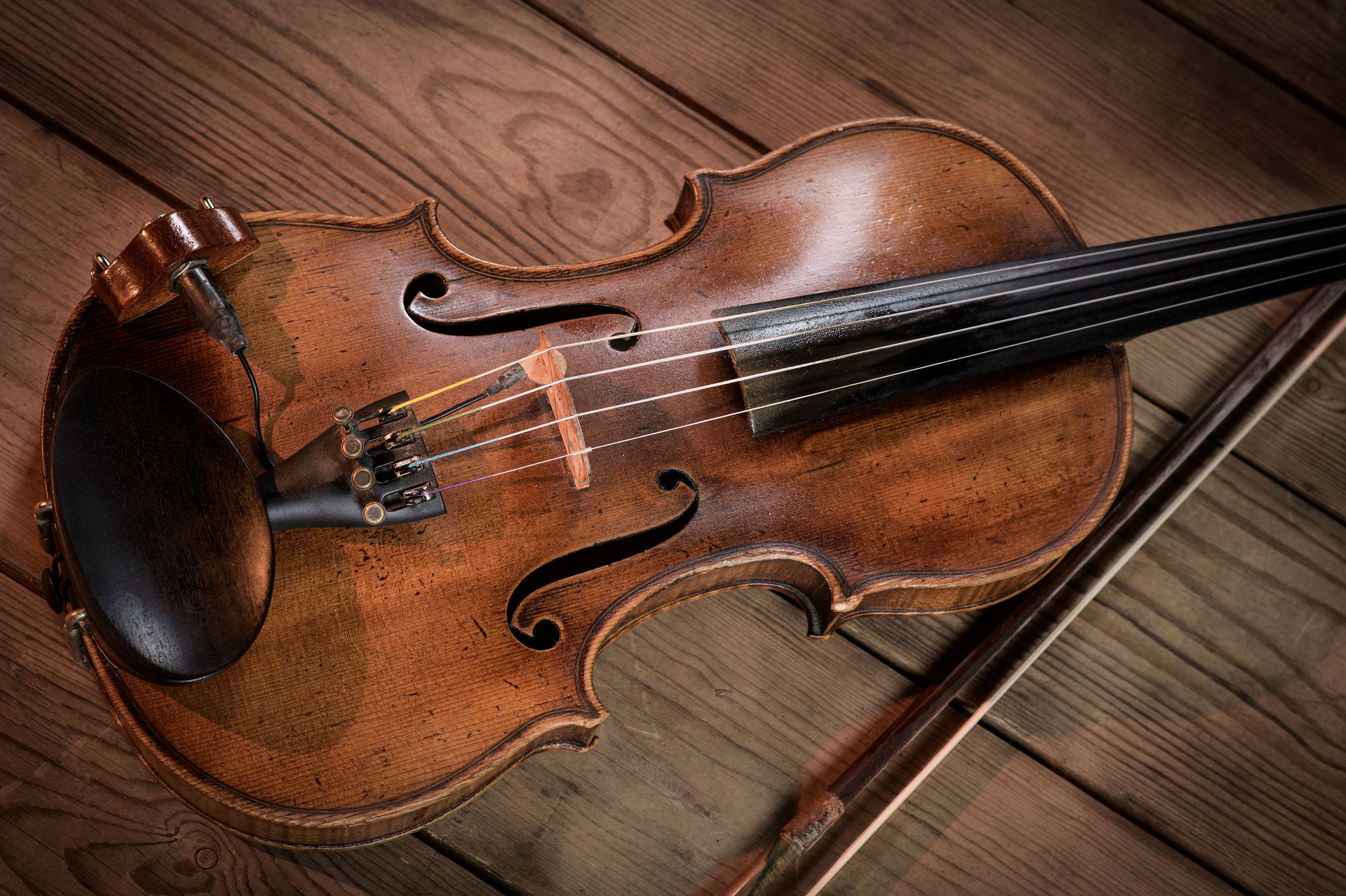 Violist Eddie Solomon voor uw bruiloft
